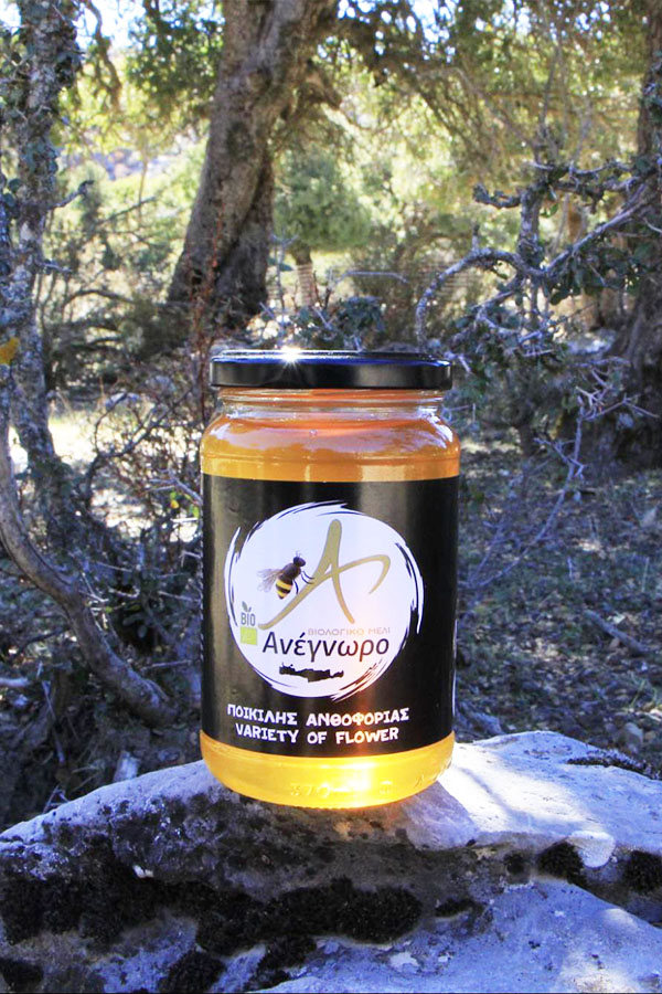 Truffles and truffle hunting in greece Anegnoro