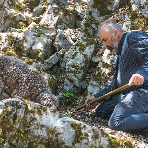 truffle hunting greece crete heraklion chania rethimno