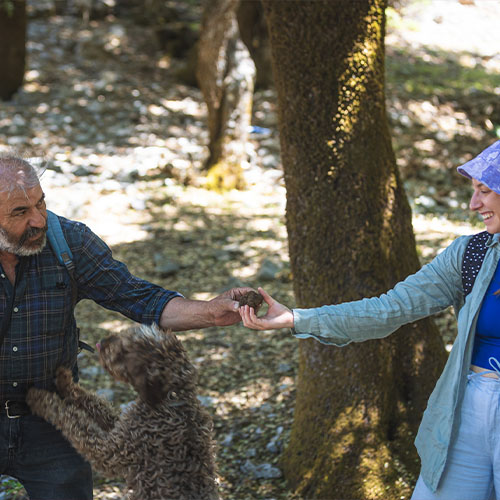 truffle hunting greece crete heraklion chania rethimno